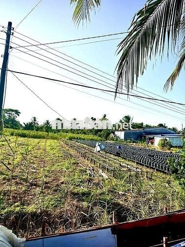 💥 GẤP GẤP - BÁN ĐẤT XÃ LONG THỚI - GẦN CHỢ CÁI GÀ