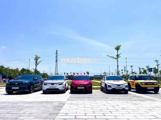 VinFast VF3 VF5 VF6 VF7 VF8 VF9