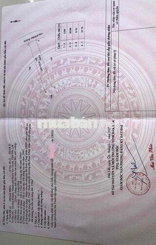 Đất thổ cư hướng Đông tứ trạch, đón nắng sáng sớm, thích hợp ở và kd