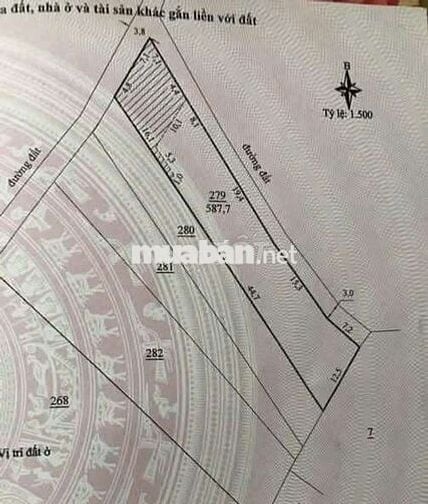 Đất ngộp gần 600m2 sẵn thổ cư Lộc Thành_ Bảo lâm3