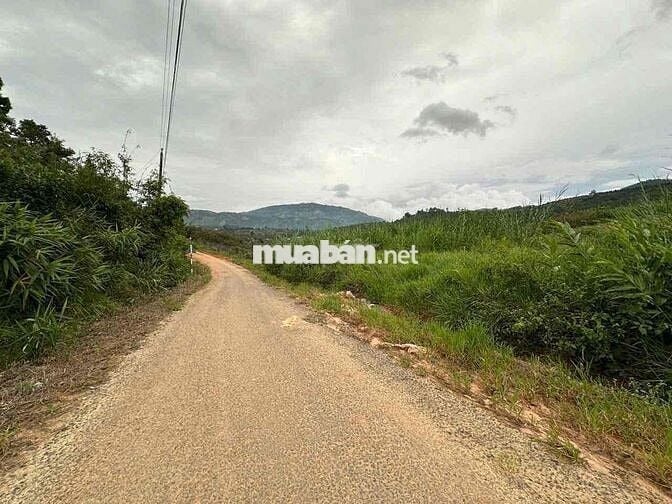 Bán đất Nghĩ Dưỡng Mặt tiền đường nhựa 8m Chỉ 280tr/Nguyên Lô