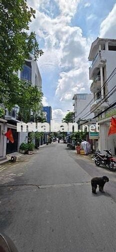 Cho thuê nhà hầm+trệt+3lau+st đường số tân quy