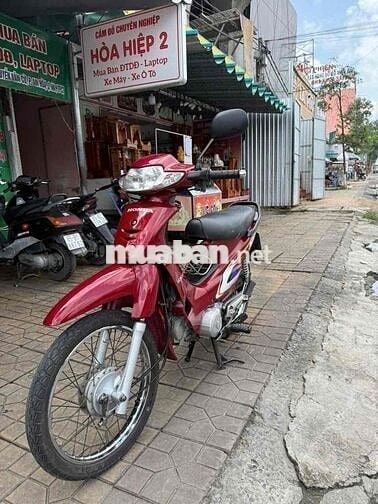 Alpha lóc trắng mẫu nhỏ