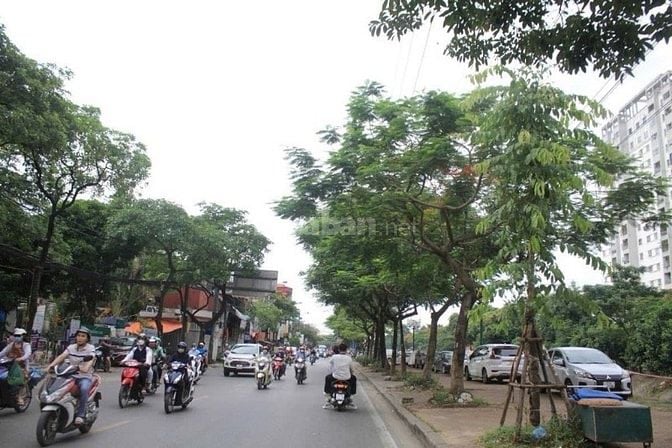 Bán đất lô góc Hoàng Mai 60m², mt 4m ô tô vào nhà, pháp lý chuẩn