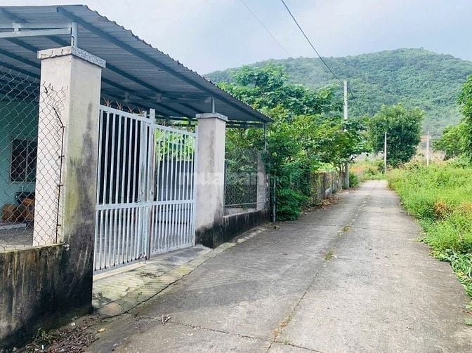 Bất Động Sản Dòng Tiền ❗️Bán đất Châu Pha, giáp ranh Tân Hưng, Bà Rịa