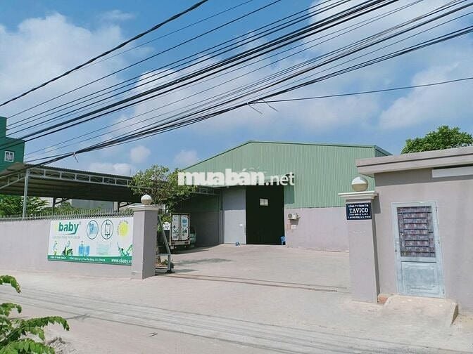 Chính chủ cho thuê Kho, xưởng 1850m2 ở An Phú Đông, Q12 cách QL1A 150m