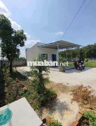 nhà vườn chủ ngộp cần ra nhanh ngay tại Bình Dương