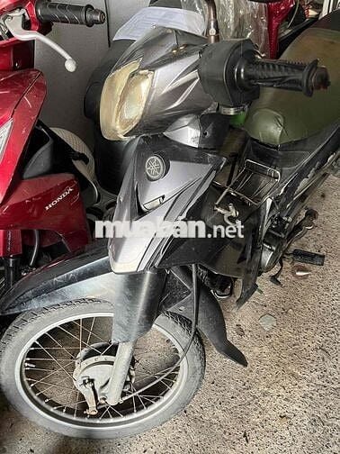 sirius 2007 nhập thái cà vẹt đầy đủ