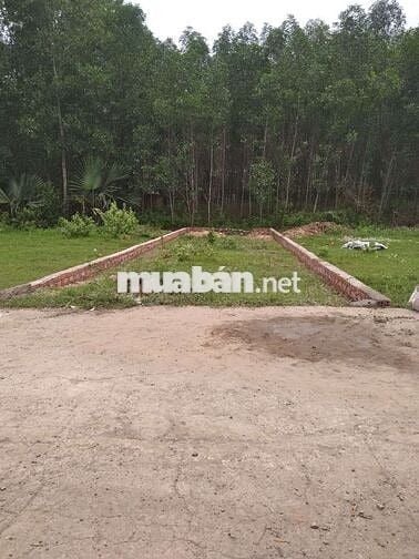 Kẹt tiền cần bán lô đất đường đinh Quang ân.