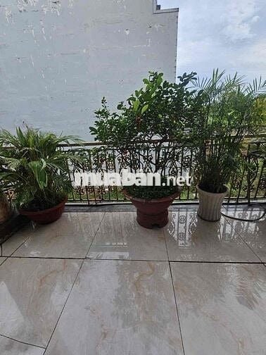 BÁN CĂN BIỆT THỰ TÂM HUYẾT SÀI GÒN