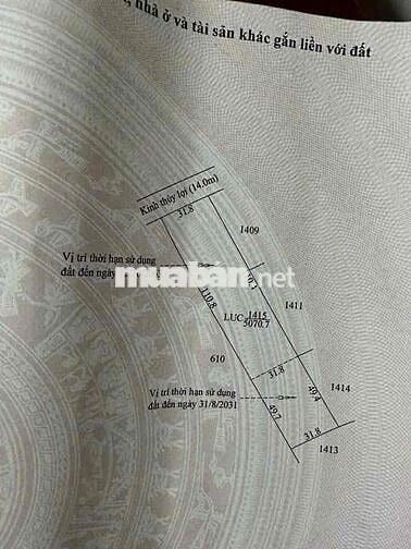 bán 5 công ruộng cách lộ 4m 300m