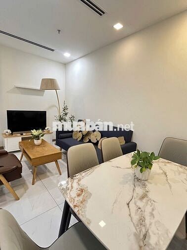 Cho thuê 1PN full nội thất chỉ 17 triệu Vinhomes Central Park
