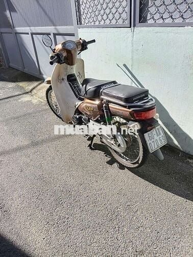 Xe cub 50cc