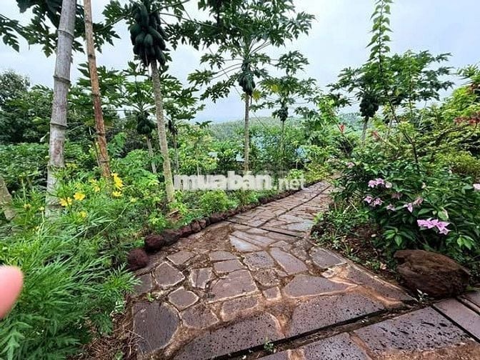 Bán nhanh: 850 triệu, trọn sổ vị trí nằm gần Hồ Trị An