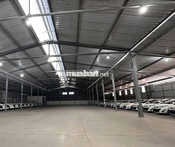 Kho diện tích lên đến 2500m2 ở Bế Văn Cấm cần cho thuê gấp