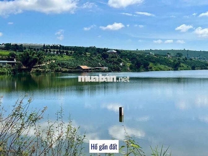 1000M LÂM ĐỒNG CÓ THỔ CƯ VIEW SĂN MÂY CHỈ 699TR ,LÀM NGHỈ DƯỠNG...
