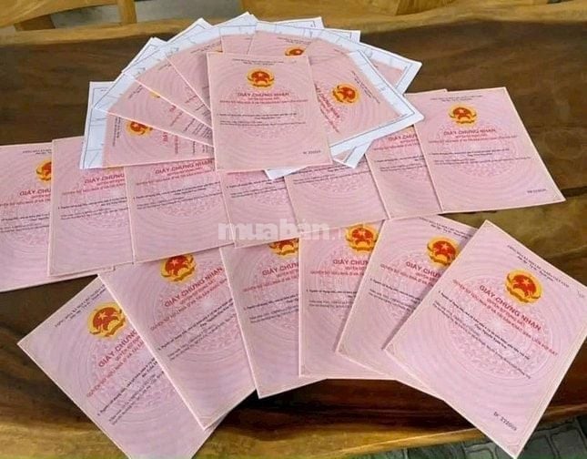 KDC TÂN TRIỀU – SỔ RIÊNG THỔ CƯ CHỈ CẦN 500TR CÓ NGAY ĐẤT