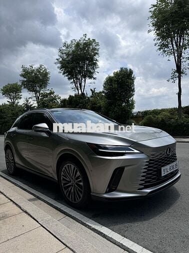 LEXUS RX350 LUXURY – Model 2024