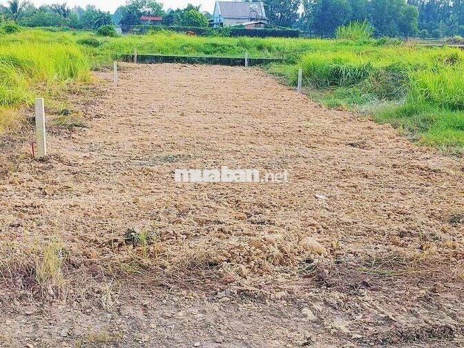 “Đầu tư ngay – Lô đất 135m² sát Trường THCS Phước Hiệp tiềm năng