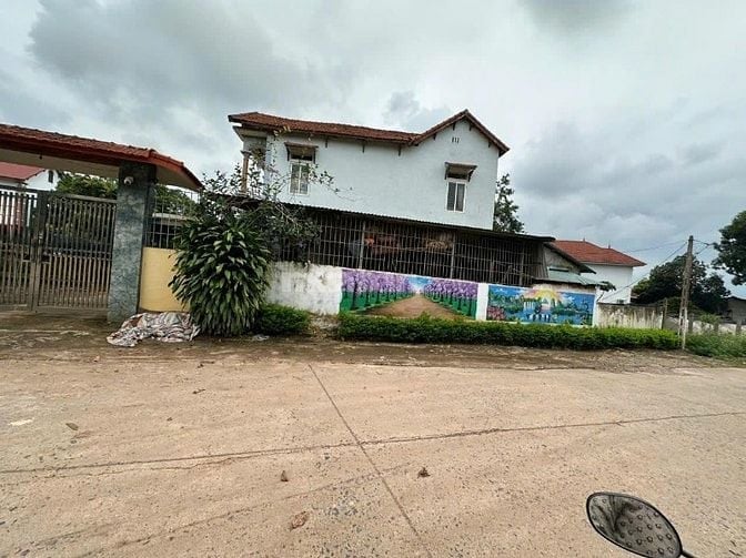 Bán đất thổ cư tại Đạo Tú, Tam Dương, Vĩnh Phúc 