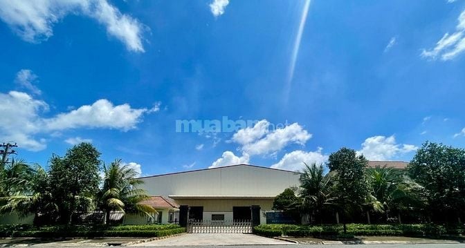 KCN HẢI SƠN - TUYỂN DỤNG TÀI XẾ XE ĐẦU KÉO