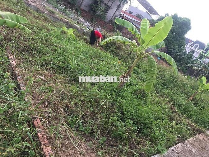 Chuyển về quê sống mình cần nhượng đất 48,9m nở hậu huyện Thanh Trì cu