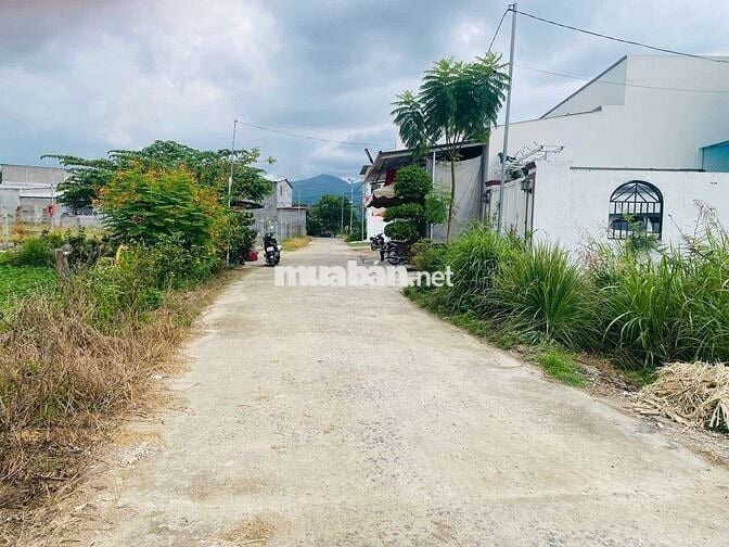 Đất Dân Cắt Bán Diên Điền , DT 141m full Thổ giá 899tr, Đường Qh 10m