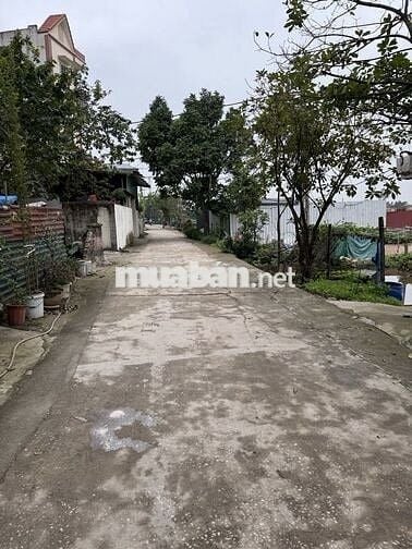Bán gấp Đất Đại Áng ô tô ngủ trong đất ,ngõ thông ,giá đầu tư 5.6 tỷ