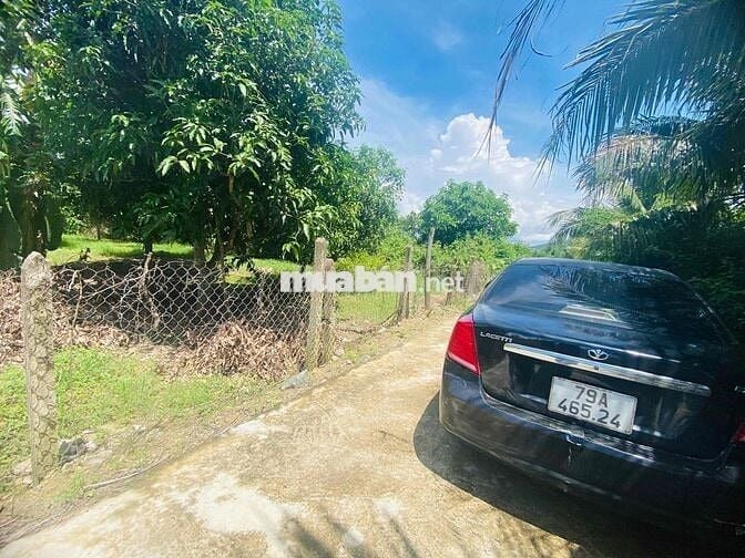 Bán lô đất vườn thổ cư Diên Thọ gần TL2 dt 300m giá 5tr/m, ngang 10m