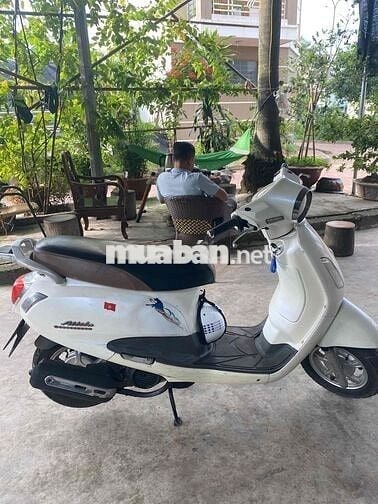 CẦN BÁN XE ATTILA