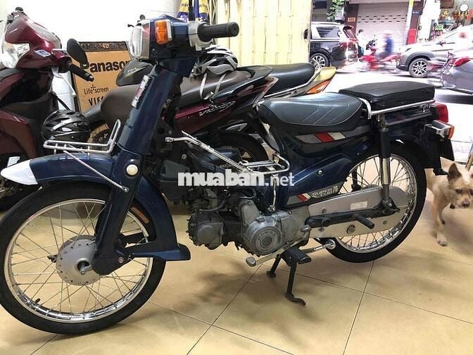 cub 70 đời 89 ngay chủ