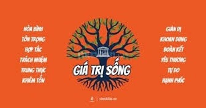Cần tuyển tài xế B2 và Nhân viên Giao hàng