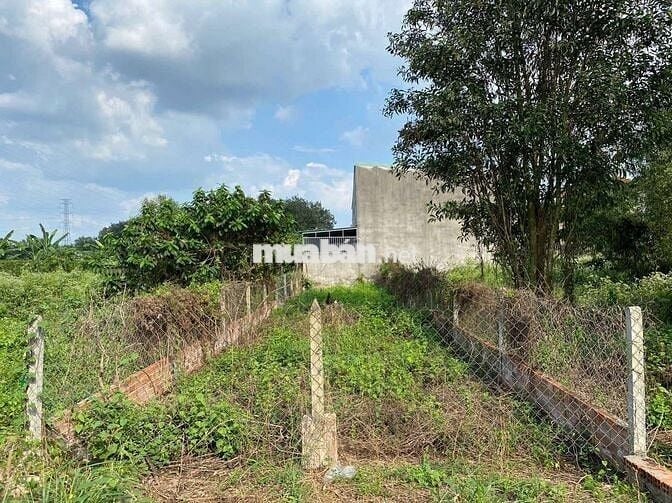 Tôi Bán Nhanh Đất MT đường nhựa Trung Lập Hạ Củ Chi. Giá 1tỷ730/157m2