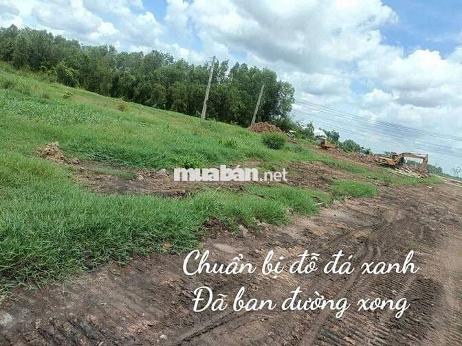 Đất thổ cư Thủ Thừa Long An cũ