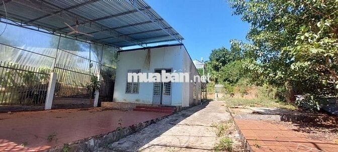 Bán đất tặng nhà cấp 4 ngay trung tâm p2