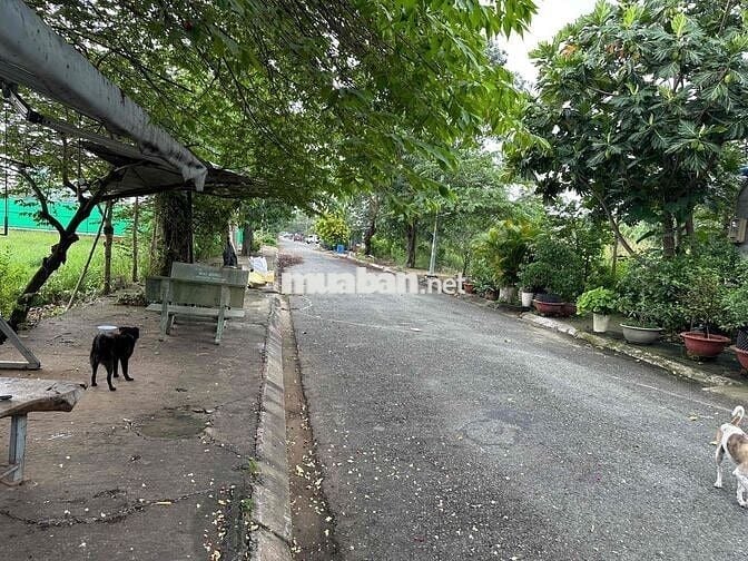 CHÍNH CHỦ CẦN BÁN XƯỞNG LONG THỚI NHÀ BÈ