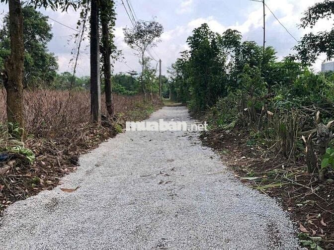 Bán đất nghỉ dưỡng 3000m2 chỉ 450tr/1 sào. View hồ mát mẽ quanh năm