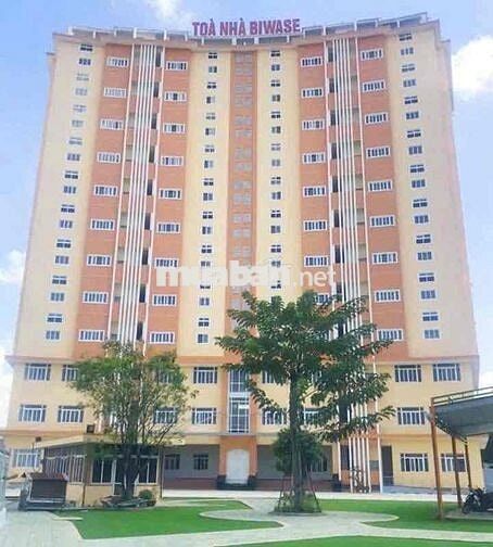 Cho thuê căn hộ biwase gần vòng xoay an Phú , cạnh khu di tích hố lang