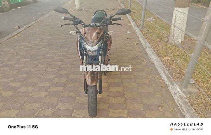 Bandit 150 BSTP zin keng