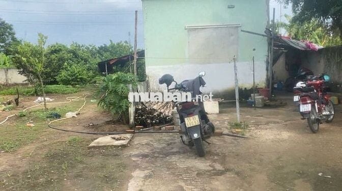 CHO THUÊ NHÀ VÀ ĐẤT TRỐNG 2 MẶT TIỀN CHÍNH CHỦ 1250M2