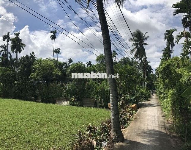 Chính chủ đất Nhị Bình 300m2, thổ cư, cách mặt tiền Bùi Công Trừng 50m