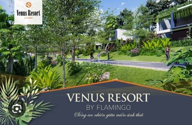 Bán biệt thự nghỉ dưỡng khu Flamingo Venus Vĩnh Phúc, sổ đỏ 180 m2, 