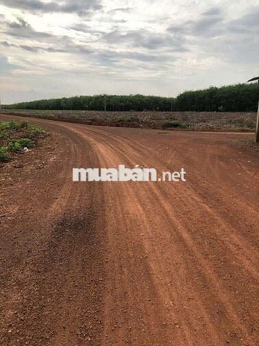 Em đang còn 1 cặp liền kề 400m2 có 100m thổ cư giá 490tr