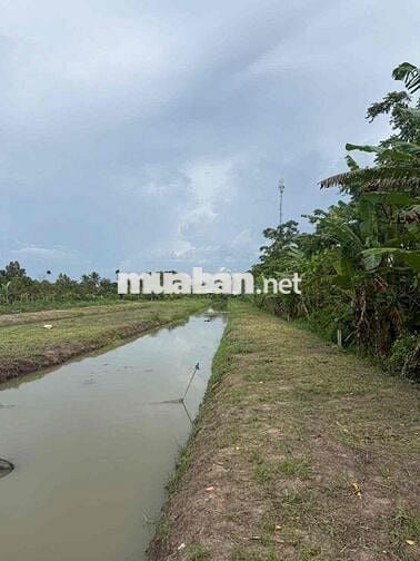 ĐẤT THỔ CƯ MẶT TIỀN LỘ 61C GIÁ CỰC RẺ