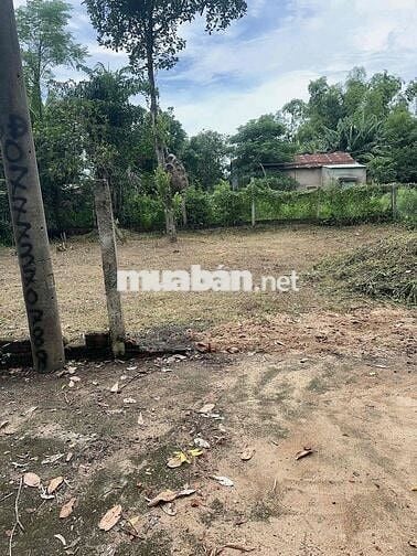 Cần bán đất hoà phước hoà xuân giá rẻ