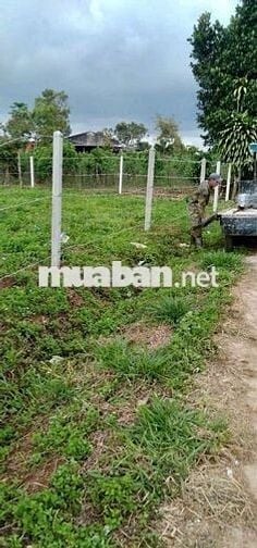 749m2 mặt tiền liên thôn Lộc Đức