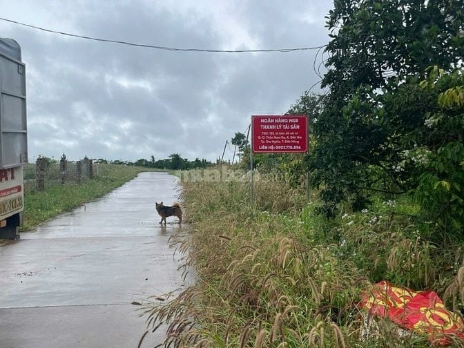Bán đất tại Thôn Nam Rạ, xã Đắk Nia, tp Gia Nghĩa, tỉnh Đắk Nông