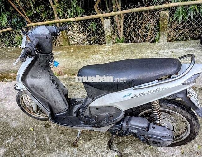 Mio trắng