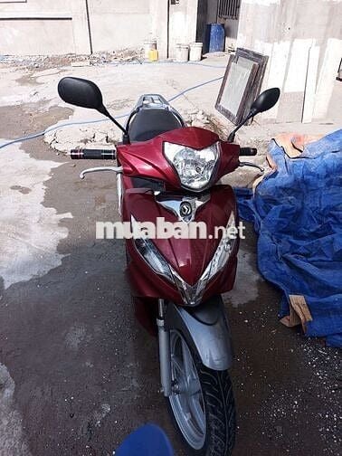 Cần bán shark 125 ở thủ  đức