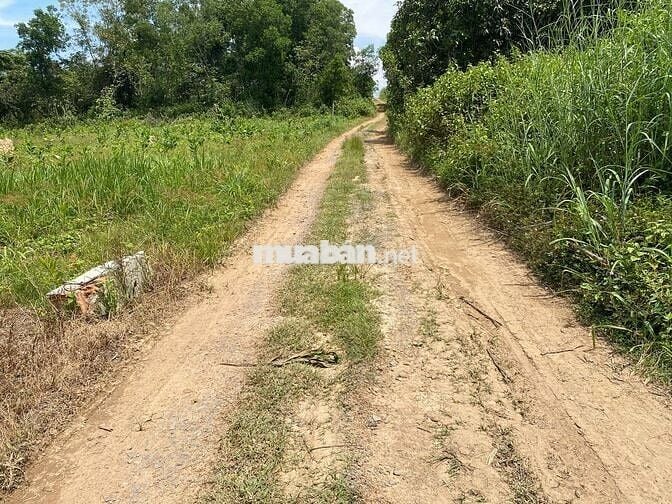 CHỈ 650T SỞ HỮU NGAY LÔ ĐẤT 1500M2 CÓ 18M MẶT TIỀN,GIÁ ĐẦU TƯ SINH LƠI